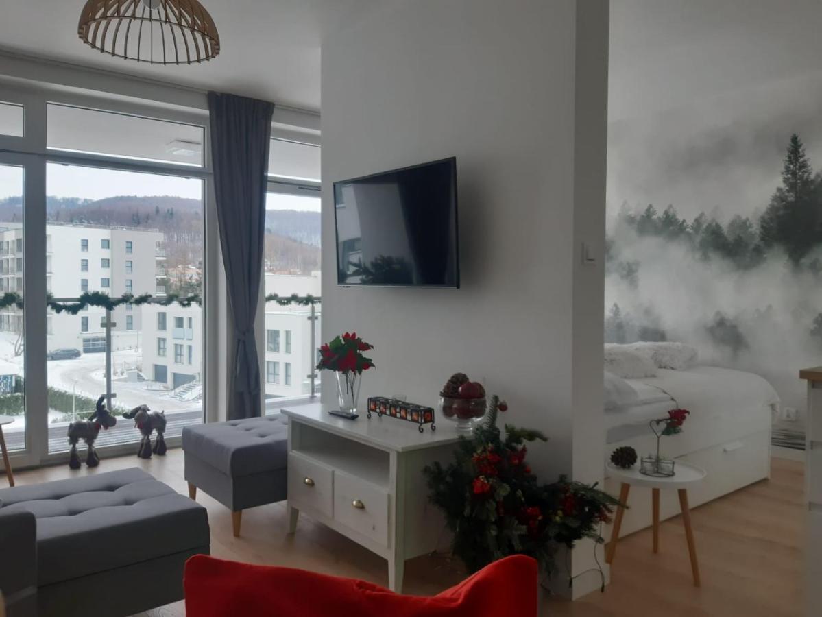 Pod Debowcem 44 Rowerek Apartment *